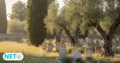 קברן/ת - חופר/ת קברים · משרה בתחום שירותי קבורה · נטו לוח דרושים חינם