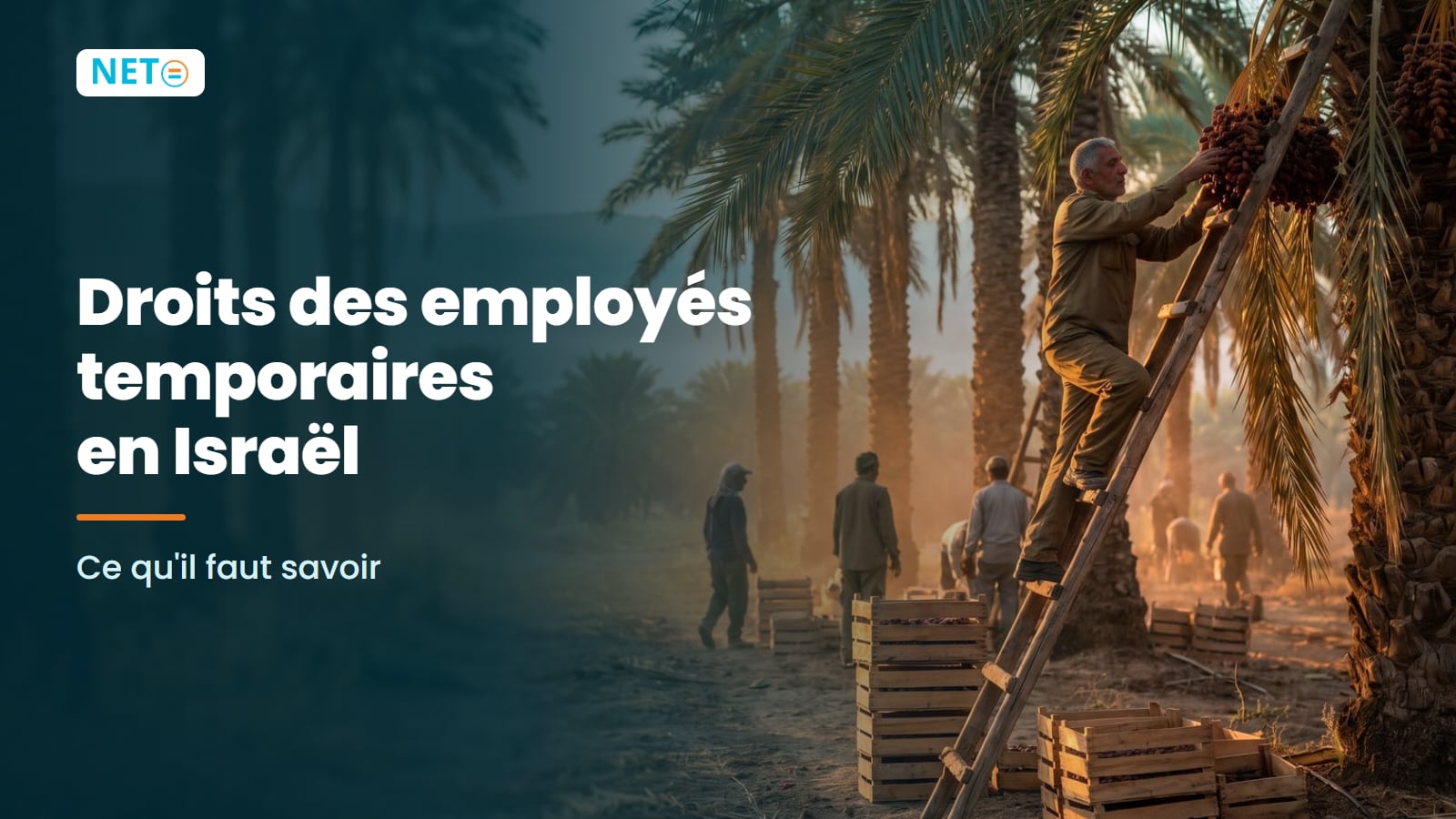 Droits des employés temporaires en Israël · Guide 2025 · NETO ("נטו עבודה") Droits des employés temporaires en Israël · Guide 2025 · NETO ("נטו עבודה")