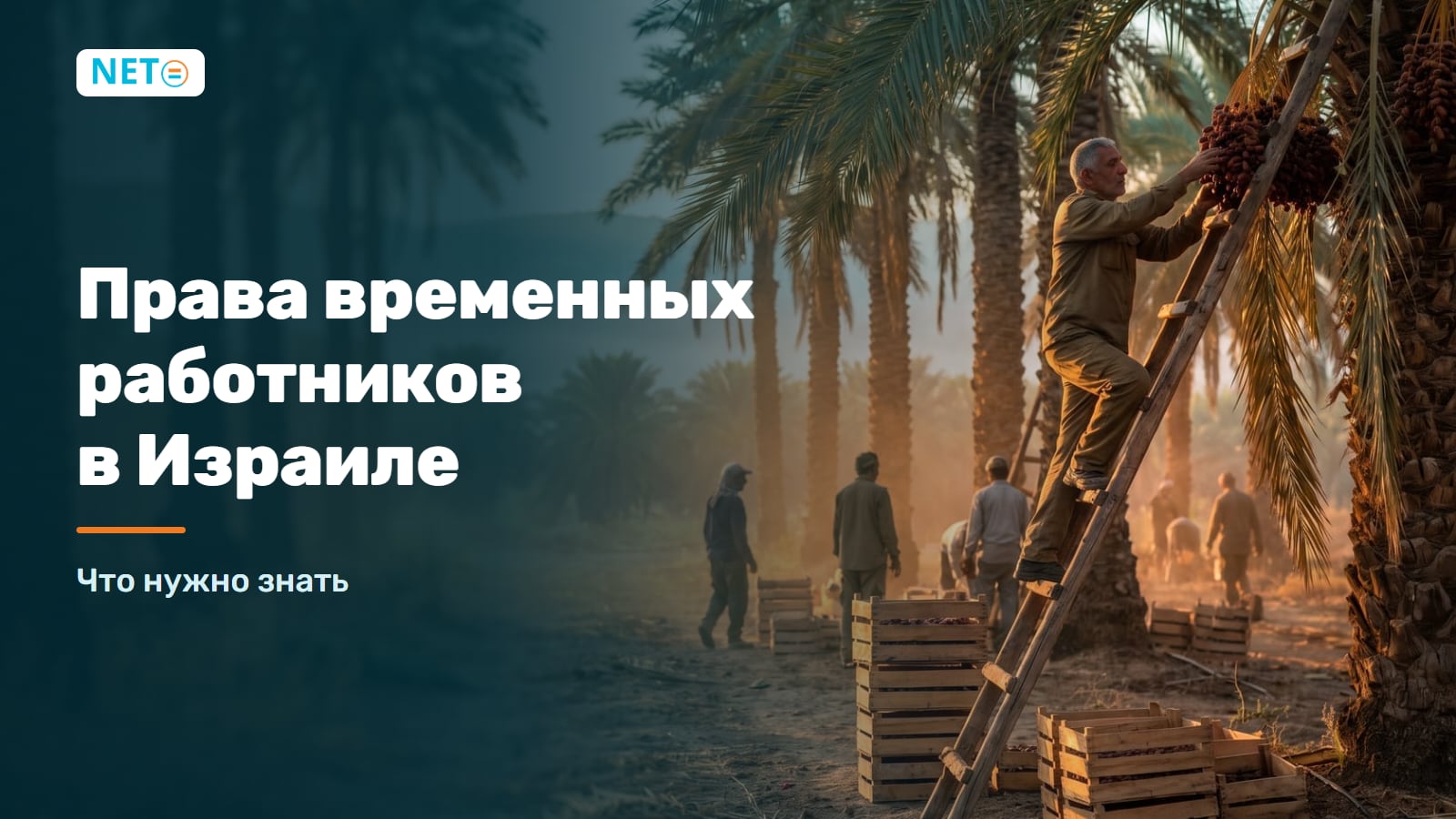Права временных работников в Израиле · Гид 2025 · NETO ("נטו עבודה") Права временных работников в Израиле · Гид 2025 · NETO ("נטו עבודה")